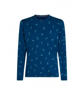 Блуза Icebreaker M's 200 Oasis LS Crewe Ski Day