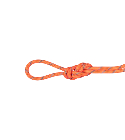 Climbing Rope Mammut 7.5 Alpine Sender Dry Standard 60M Winter 2025