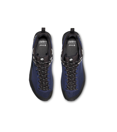 Mammut Alnasca IV Low GTX Men