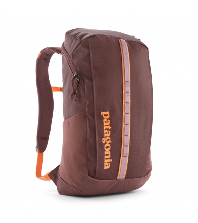 Patagonia Black Hole Pack 25L