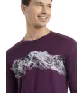 Блуза Icebreaker M's 200 Oasis LS Crewe Thermal Top Remarkables Winter 2024