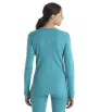 Блуза Icebreaker W's 260 Vertex LS Thermal Top Herenga Winter 2024