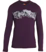 Блуза Icebreaker M's 200 Oasis LS Crewe Thermal Top Remarkables Winter 2024