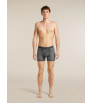 Боксерки Icebreaker Merino 150 Anatomica Boxers Transitions