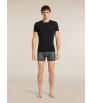 Боксерки Icebreaker Merino 150 Anatomica Boxers Transitions