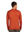 Icebreaker Merino 150 Tech Lite LS T-Shirt Rainer Ridge M's